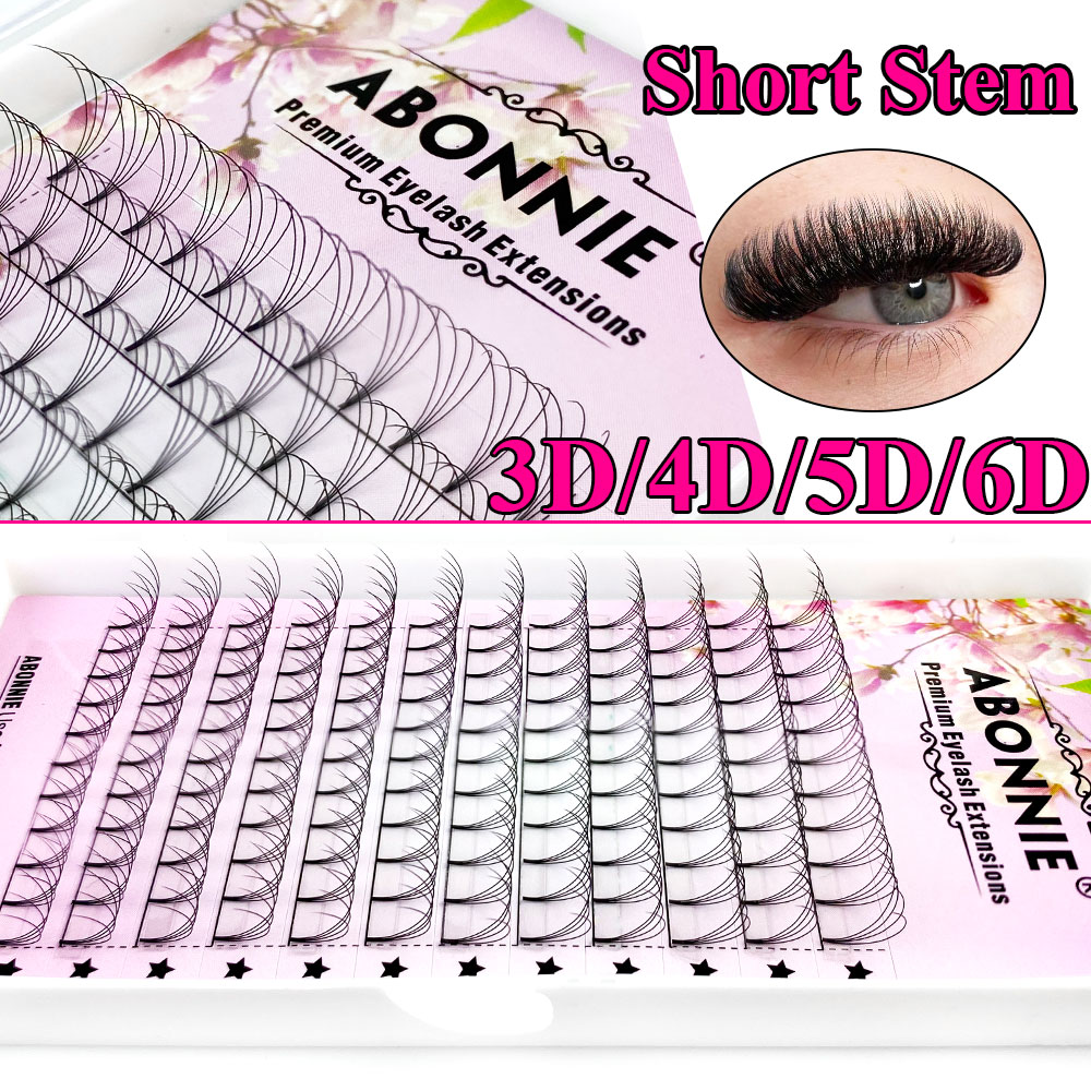 Abonnie 6D Éventails préfabriq - Eyelash Extension Russian avis et prix